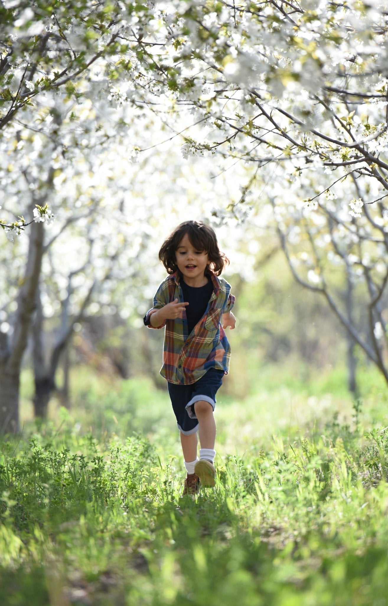 Marcha Completa - Madali Baby Store