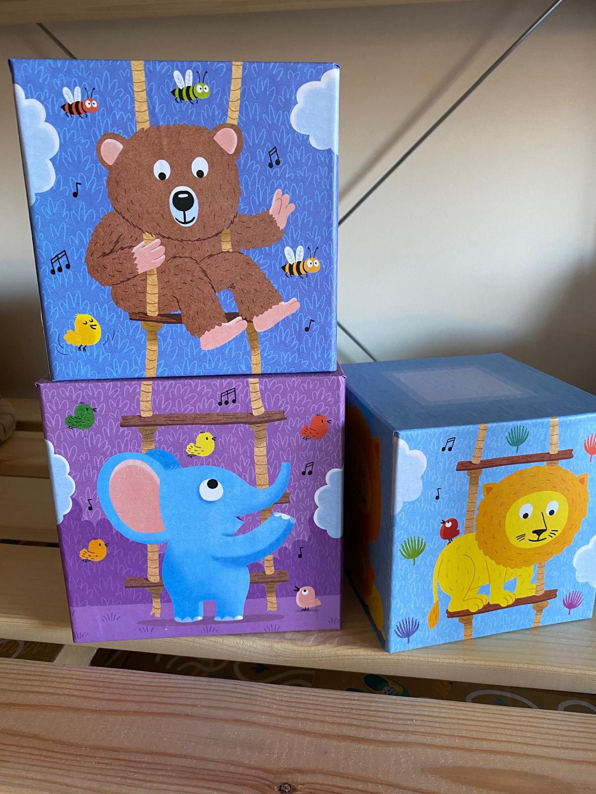 Conjunto de 10 Cubos de Empilhar - Djeco